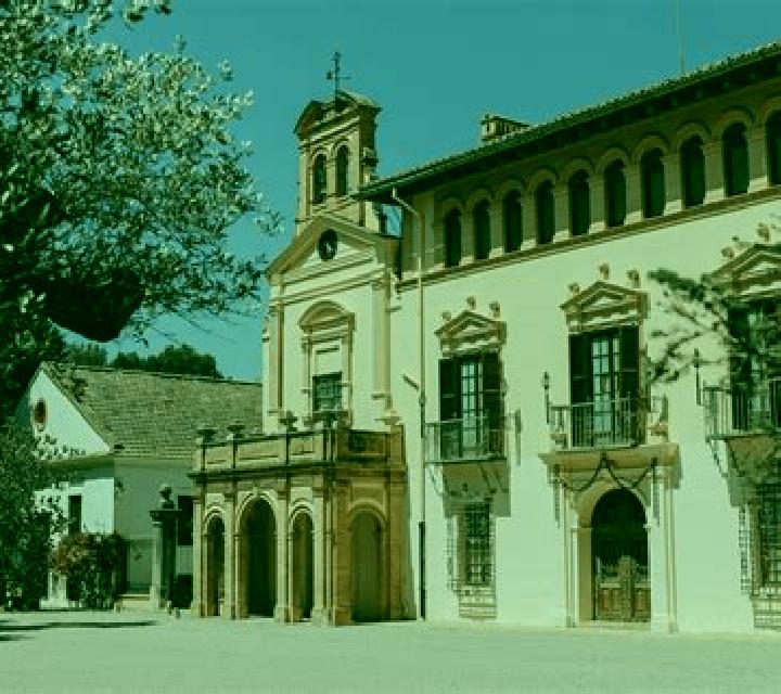 Zara 3 Santa Eugenia de Berga escort